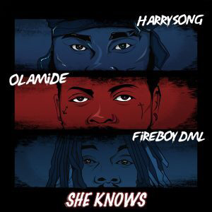 Harrysong she knows ft Fireboy $ Olamide mp3 artwork