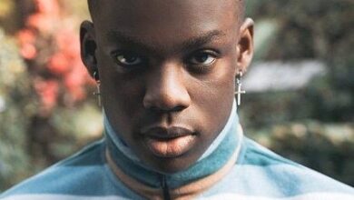 Rema - Are You There?, mp3 Download Audio