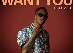 Oxlade – Want You mp3 Download