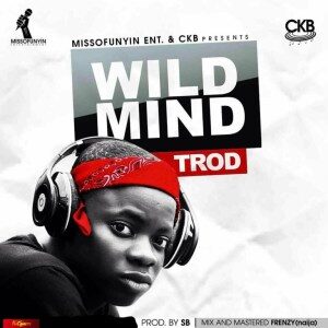 Trod – Wild Mind mp3 artwork