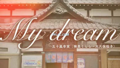 Revice Legacy Kamen Rider Vail Theme Song : My dream, DOWNLOAD MP3, LYRICS