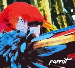DOWNLOAD ALBUM: Edith Piaf – Parrot (ZIP, MP3)