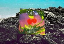 Calvin Harris, Dua Lipa & Young Thug - "Potion", DOWNLOAD MP3, AUDIO, LYRICS 