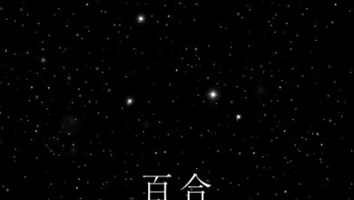 RYUJI IMAICHI – RILY’S NIGHT -百合演夜-, mp3 DOWNLOAD, AUDIO