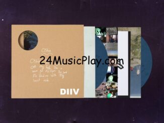 DIIV – Sometime / Human / Geist ALBUM DOWNLOAD [ZIP FILE]