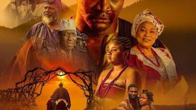 Download Anikulapo 2022 Yoruba Nollywood Movie on Netnaija 9jarock