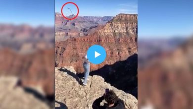 NEW LINK Katie Sigmond Video Of The Grand Canyon Is Viral Online
