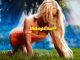 DOWNLOAD ALBUM: ​Zara Larsson - Midnight Sun