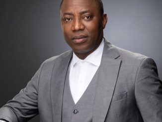 Omoyele Sowore Biography